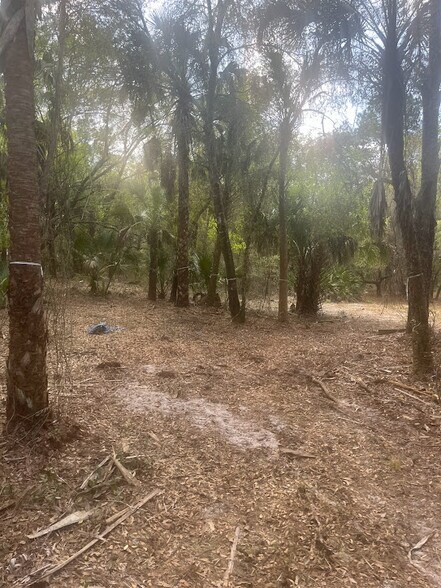 More Photos Of 0 Camellia, Crystal River Land For Sale