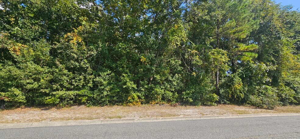 More Photos Of TBD SW Newland Way, Lake City Land For Sale