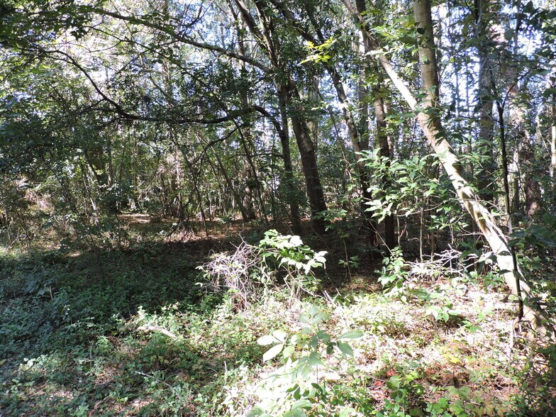 More Photos Of 2935 New Berlin Rd, Jacksonville Land For Sale