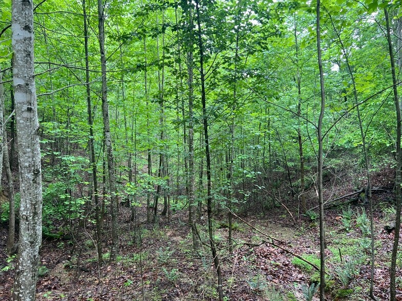 More Photos Of 395 Able rd, Waleska Land For Sale