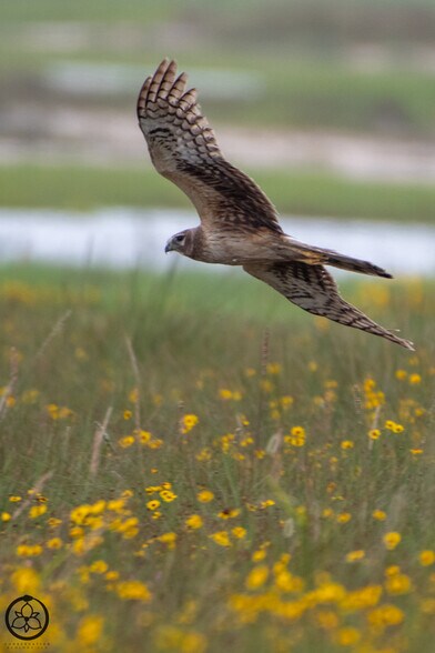 More Photos Of 1751 FM 1781, Rockport Land For Sale