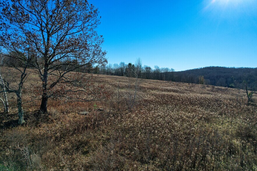 More Photos Of 263 Como Rd, Lake Como Specialty For Sale