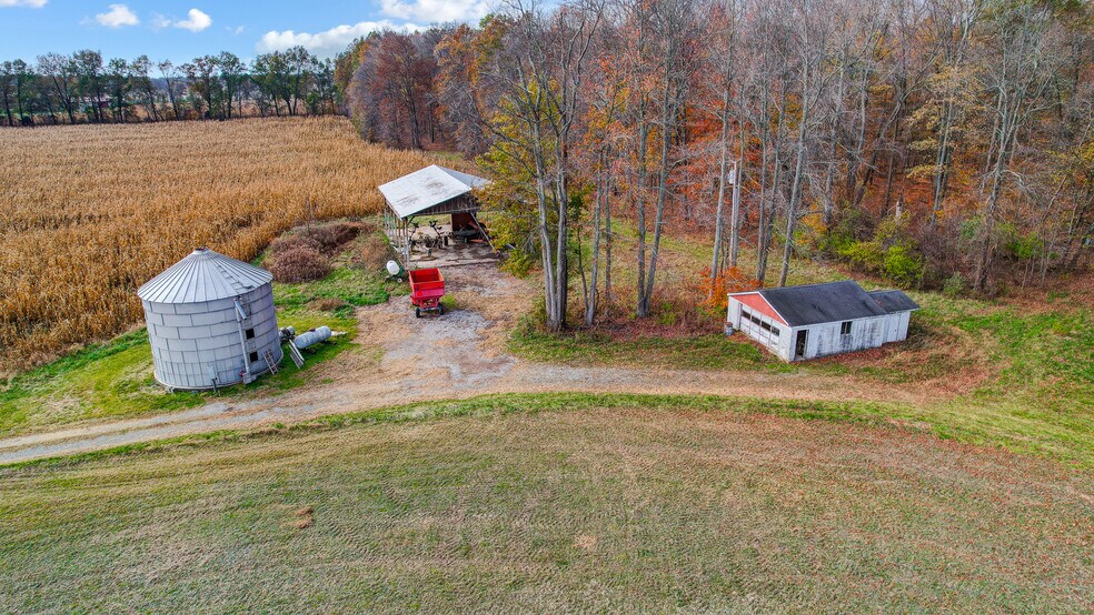 More Photos Of 9356 St Rt 350, Clarksville Land For Sale