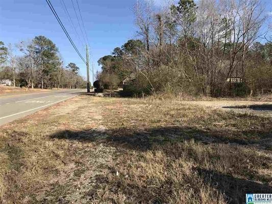 More Photos Of 12970 Highway 25, Calera Land For Sale