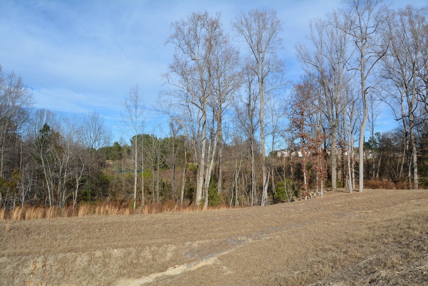 More Photos Of 1200 Granite Falls Blvd, Rolesville Land For Sale