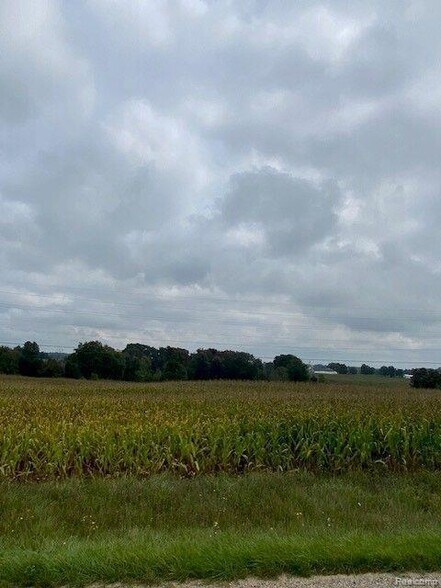 More Photos Of 7451 Fostoria rd, Mayville Land For Sale