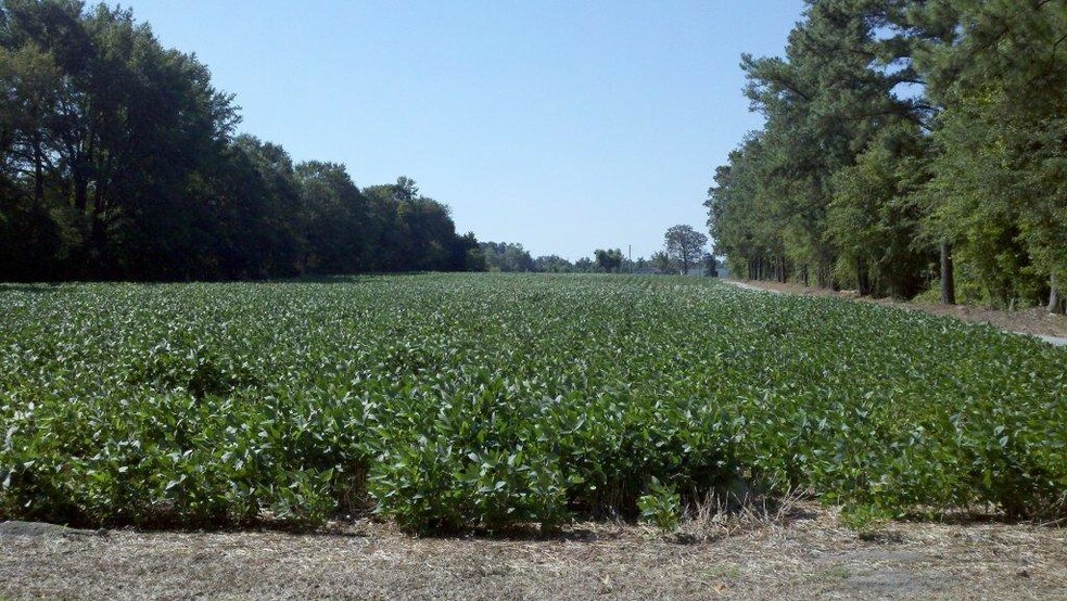 More Photos Of 1239-1241 Sunset Ave, Clinton Land For Sale