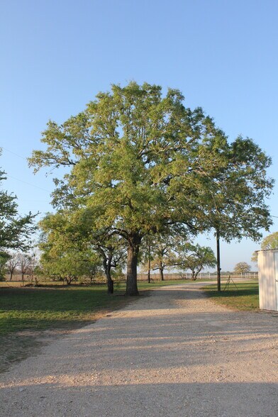 More Photos Of 986 Shiloh Rd, Bastrop Land For Sale