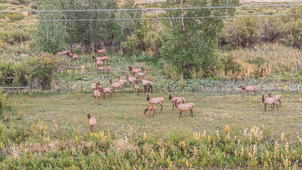 More Photos Of 41009 County Road 5, Meeker Industrial For Sale