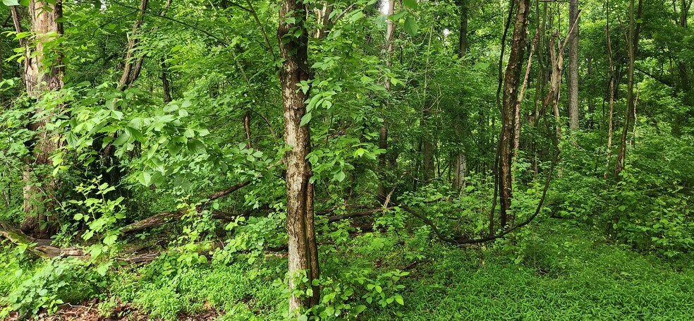 More Photos Of Robie Drive / Bensville Road Rd @ Robie Manor, White Plains Land For Sale