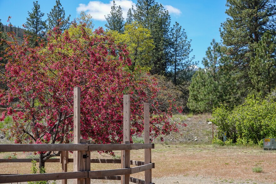 More Photos Of 10800 South Hwy 3 hwy, Callahan Land For Sale