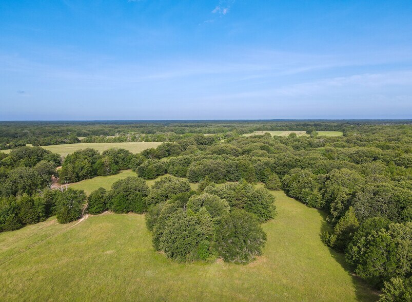 More Photos Of Intersection of FM 2029 and FM 409, Telephone Land For Sale