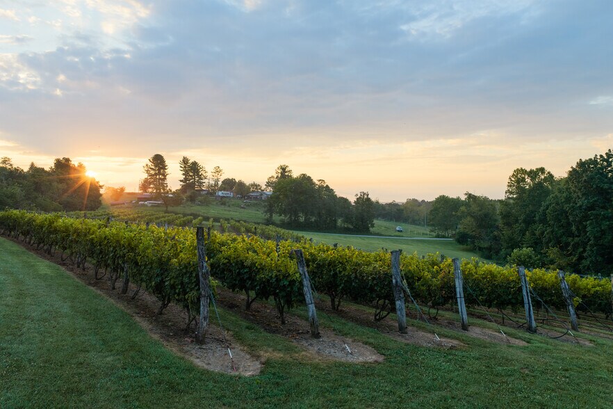 More Photos Of 401 Gilkey Ridge Rd, Shade Winery Vineyard For Sale