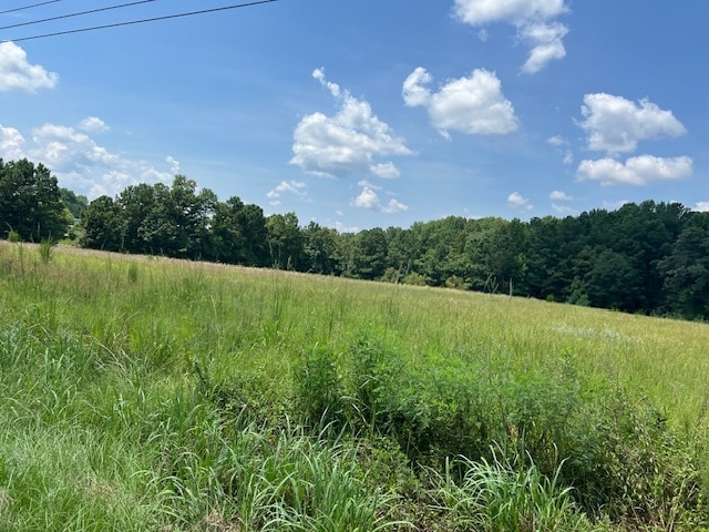 More Photos Of 711 Longtown Rd, Columbia Land For Sale