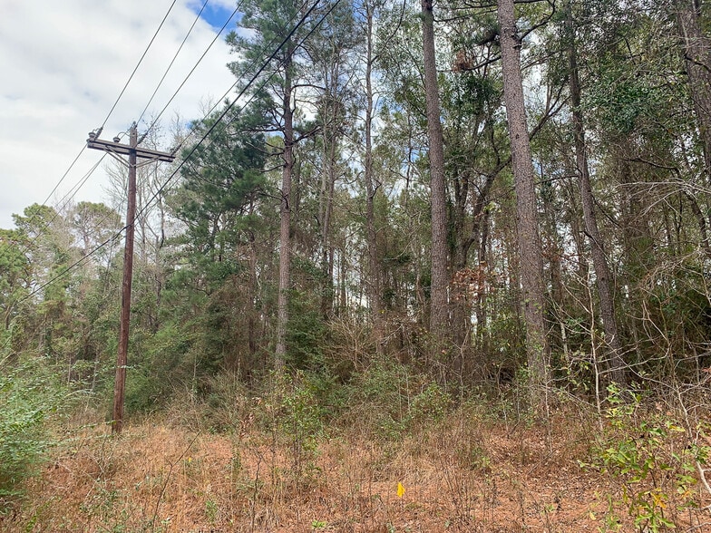More Photos Of Highway 190, Huntsville Land For Sale