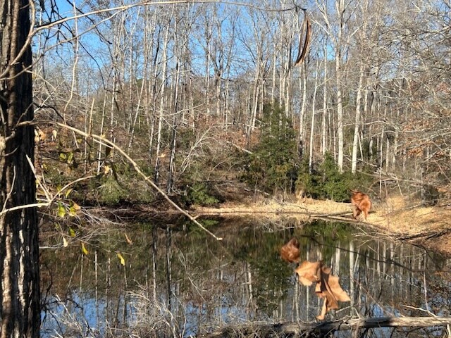 More Photos Of 609 N Fish Trap Rd, Easley Land For Sale