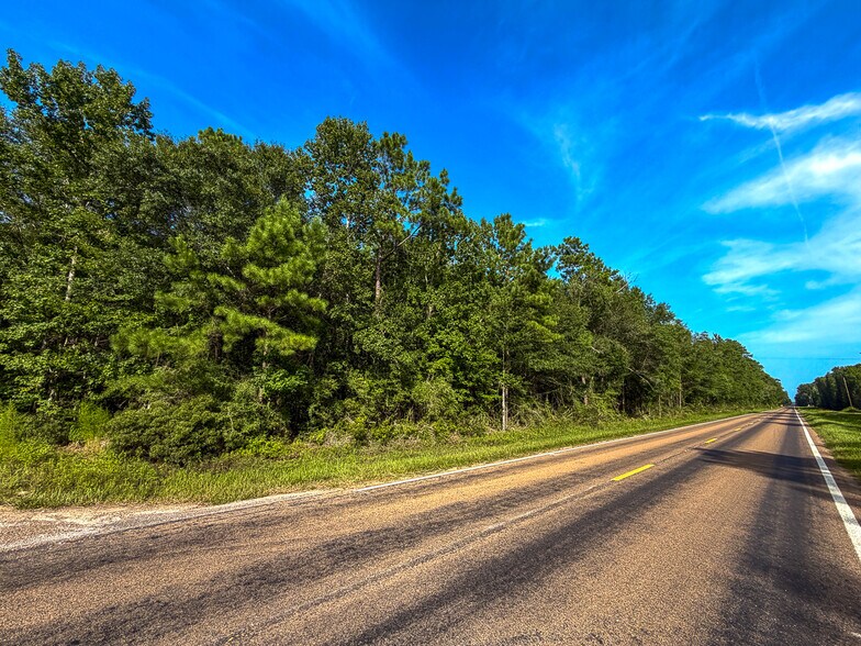 More Photos Of 3.39 Acres, FM 787, Saratoga Land For Sale