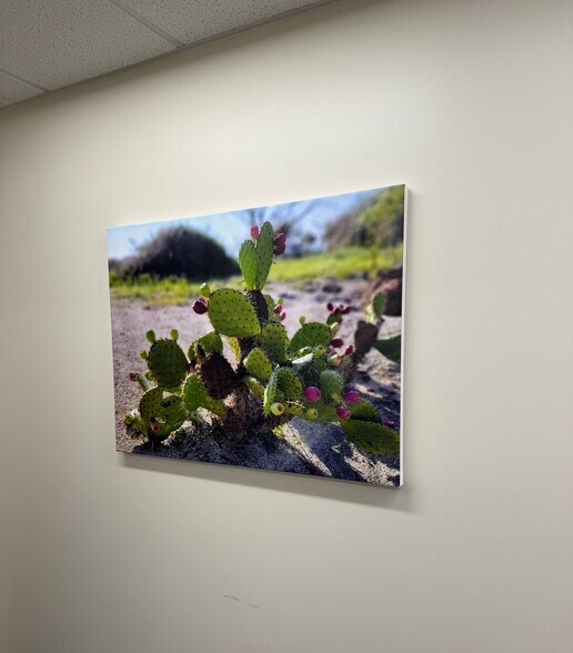 More Photos Of 1250 E Cliff Dr, El Paso Medical For Lease