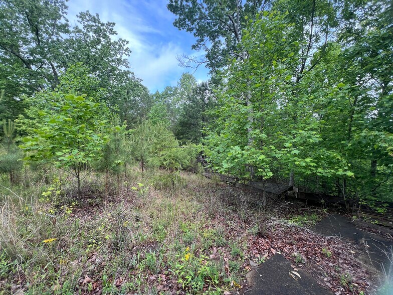 More Photos Of 395 Able rd, Waleska Land For Sale