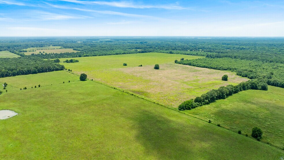More Photos Of 449 County Road 1357, Clarksville Land For Sale