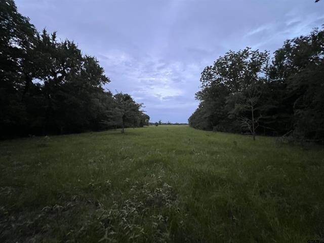 More Photos Of 12251 FM 16 E, Winona Land For Sale