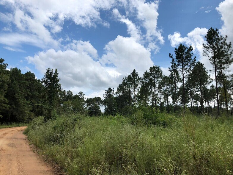 More Photos Of 395 Nettles rd, Livingston Land For Sale
