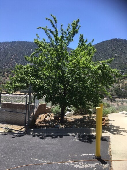 More Photos Of 3212 Mt Pinos Way, Frazier Park Light Manufacturing For Sale