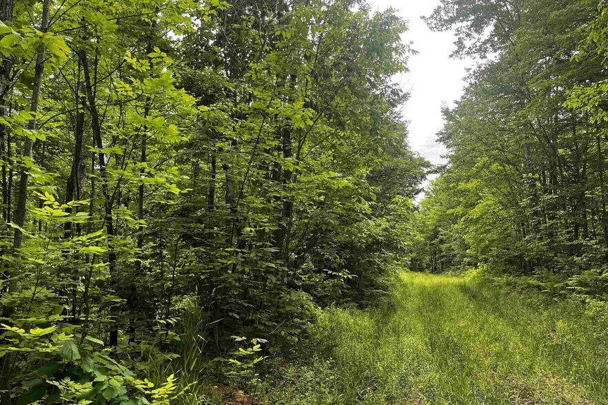 More Photos Of Laird Road Rd, Pelkie Land For Sale