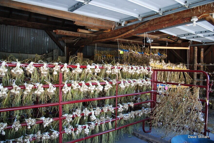 More Photos Of 3104 Harry Cash Rd, Montague Land For Sale