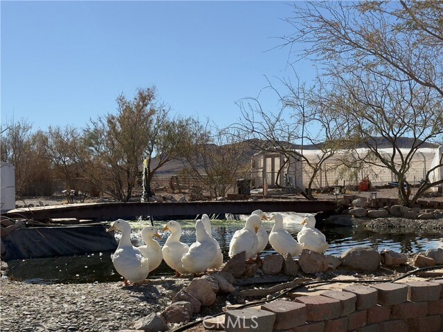 More Photos Of 691 Desert Trail way, Tecopa Winery Vineyard For Sale