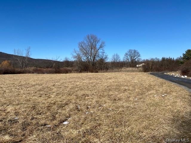 Primary Photo Of 247 Vineyard Ave, Highland Land For Sale