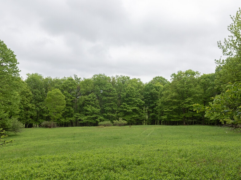 More Photos Of 1 Snow Hill Rd, Parksville Land For Sale