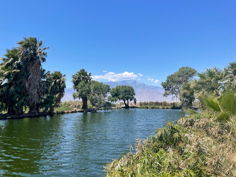 More Photos Of 19155 Corkill Rd, Desert Hot Springs Specialty For Sale