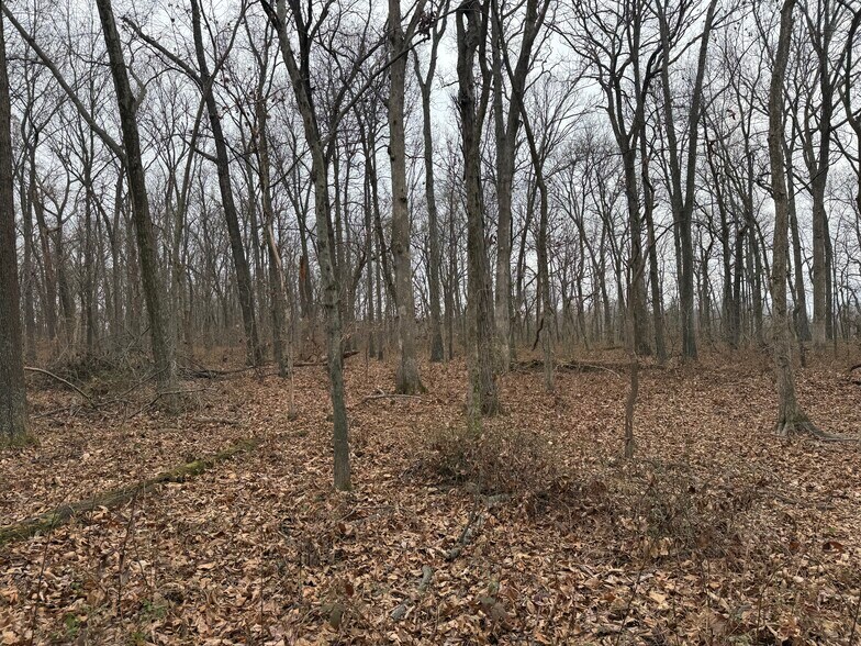 More Photos Of 00 Illinois 148, Mulkeytown Land For Sale