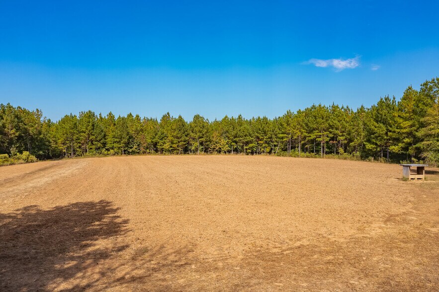 More Photos Of 18618 Hwy 43, Linden Land For Sale