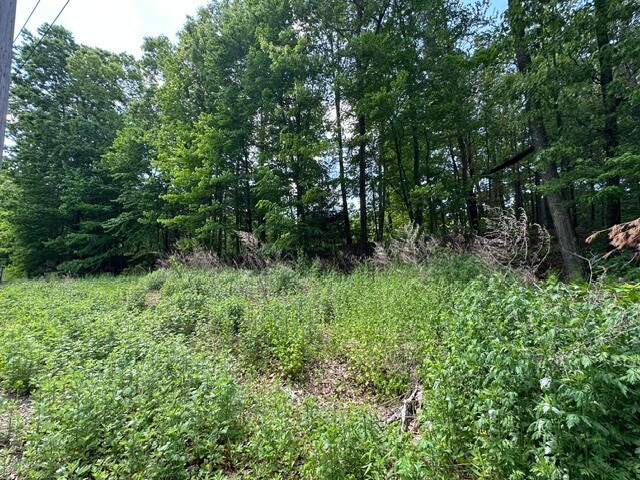 Primary Photo Of 55 Depot Pl, Unionville Land For Sale
