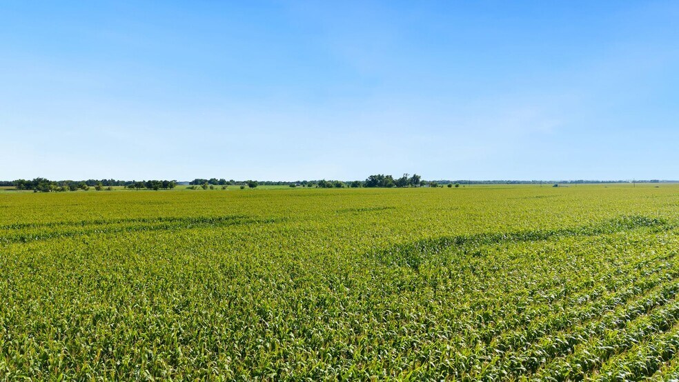 More Photos Of 4669 FM 973, Taylor Land For Sale