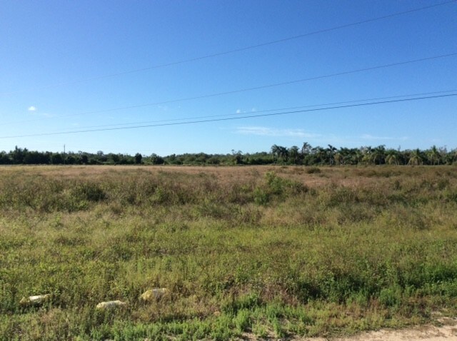 More Photos Of 16751 Palm Beach Blvd, Alva Land For Sale