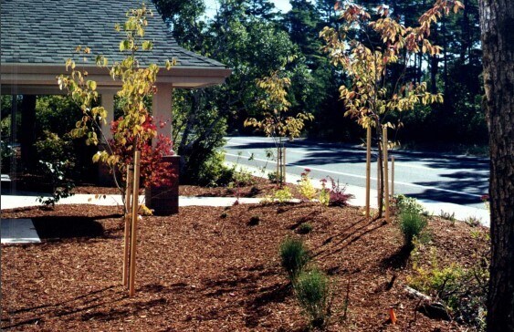 More Photos Of 705 9th St, Florence Medical For Lease