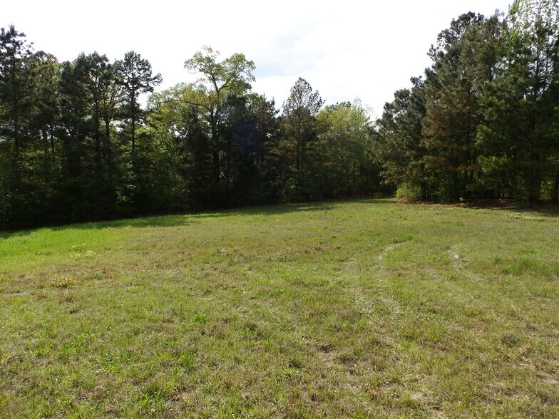 More Photos Of 19522 HWY 155, Flint Land For Sale