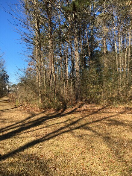 More Photos Of 2748 E Atlanta Rd, Stockbridge Land For Sale