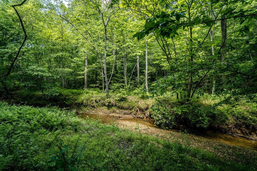 More Photos Of tbd Green Creek Rd, Schuyler Land For Sale