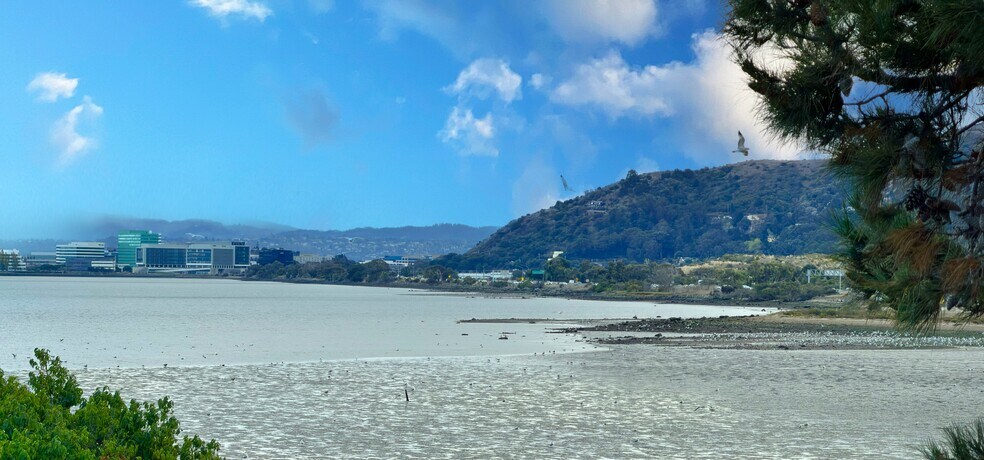 Primary Photo Of Near Highway 101, Brisbane Land For Sale