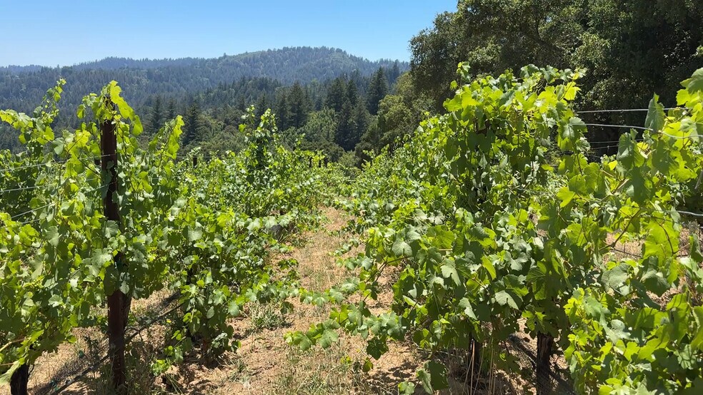 More Photos Of 18570 Black Rd, Los Gatos Land For Sale