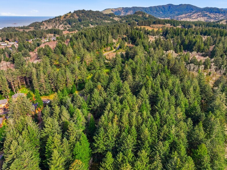 More Photos Of 0 NE Devil's Lake Blvd, Lincoln City Land For Sale