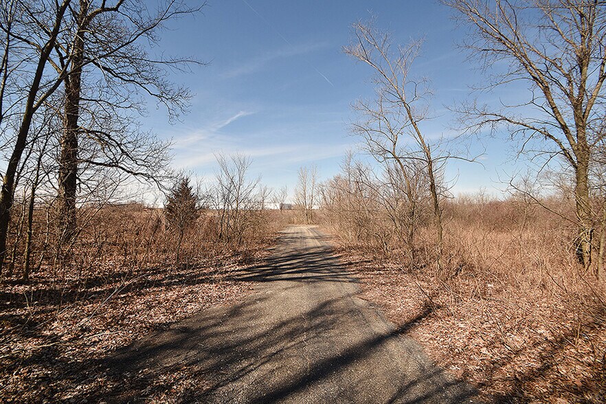 More Photos Of Brads Way, Homer Glen Land For Sale