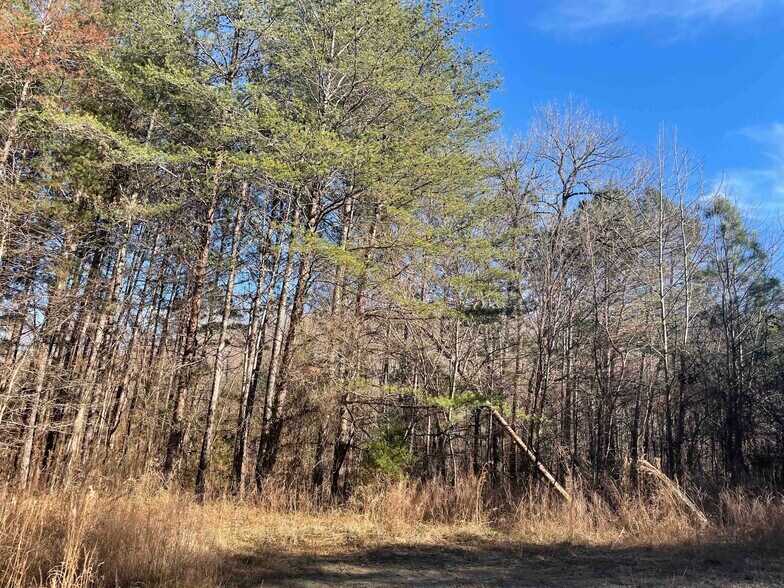 More Photos Of Rockfence Rd, Adairsville Land For Sale