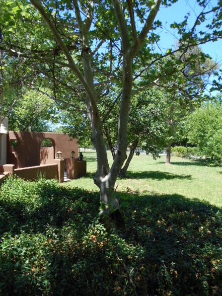 More Photos Of 143 E Walker Rd, Camp Verde Specialty For Sale