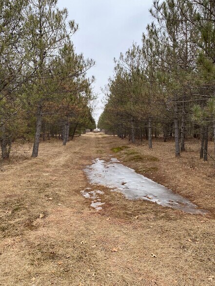 More Photos Of 207 State Highway 13, Nekoosa Land For Sale