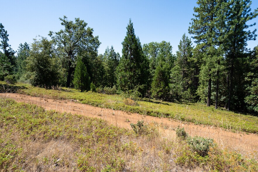 25755 State Highway 88, Pioneer, CA 95666 Land For Sale